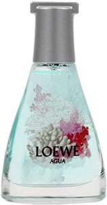 Paula's ibiza loewe